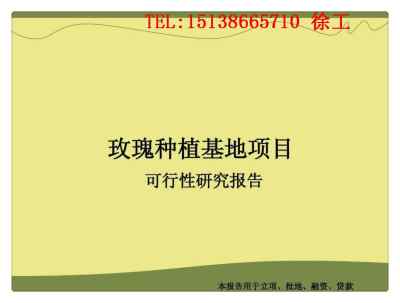 专业服务指南 辽宁抚顺项目计划书编写与咨询策划机构选择建议